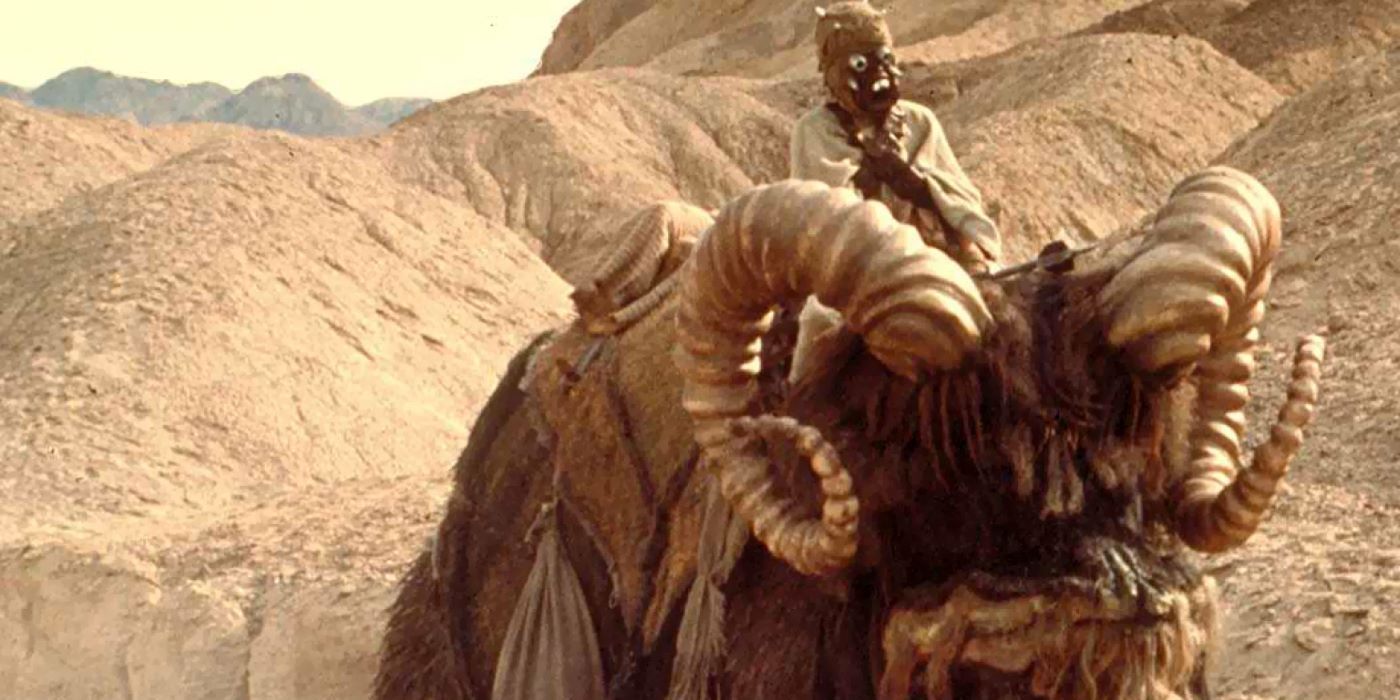 A Tusken Raider riding on the back of a Bantha in Star Wars.