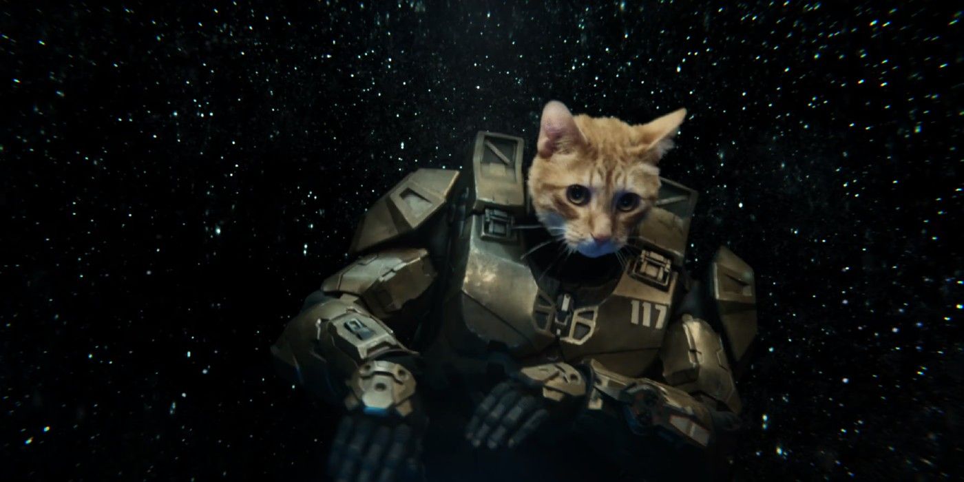 Master Chief Is a DJ Cat In Surreal Xbox Ad Directed By Taika Waititi