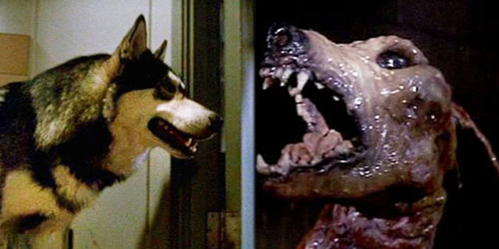 The Dog-Thing in John Carpenter's The Thing