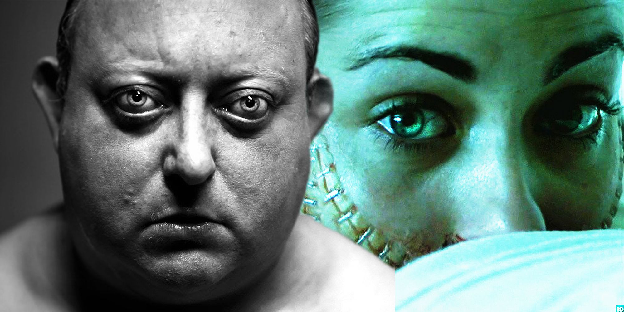 Why The Human Centipede Movies Are So Controversial Screen Rant