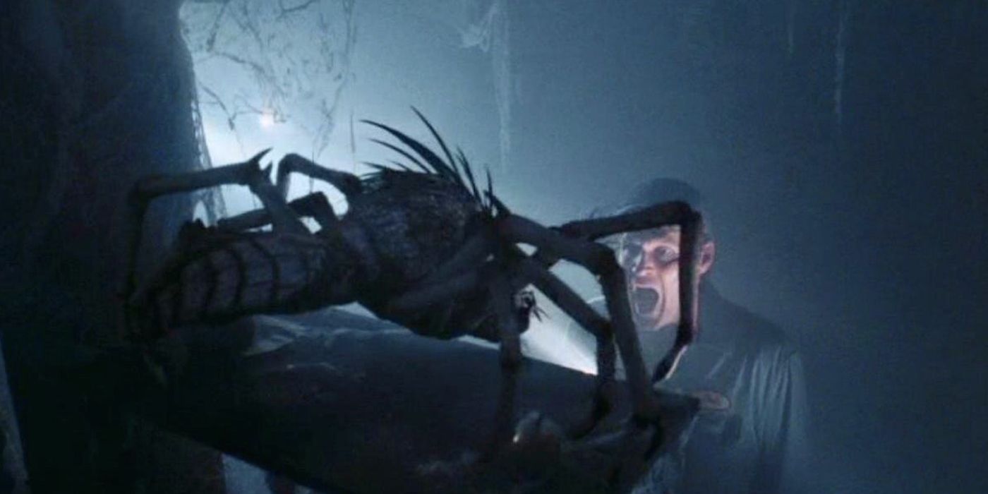 Scariest Spiders In Horror Movies Ranked