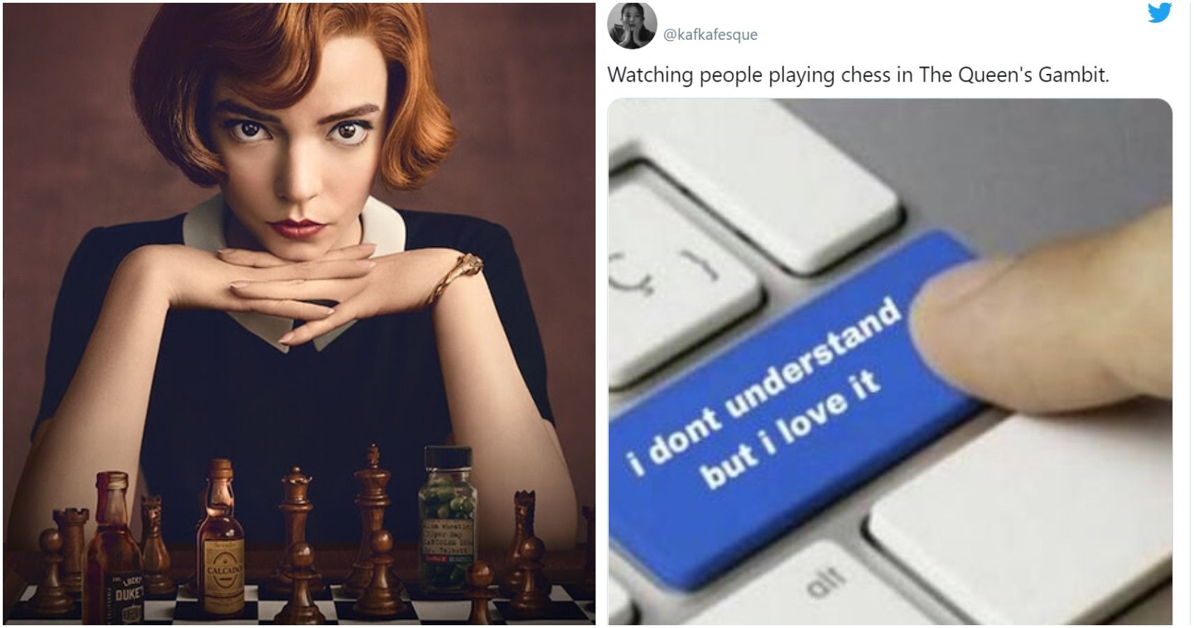 10 Queen S Gambit Memes That Will Have You Saying I Resign