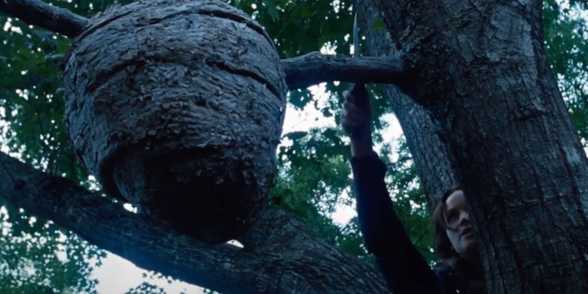 Katniss cuts a tracker jacker nest from a tree in The Hunger Games.