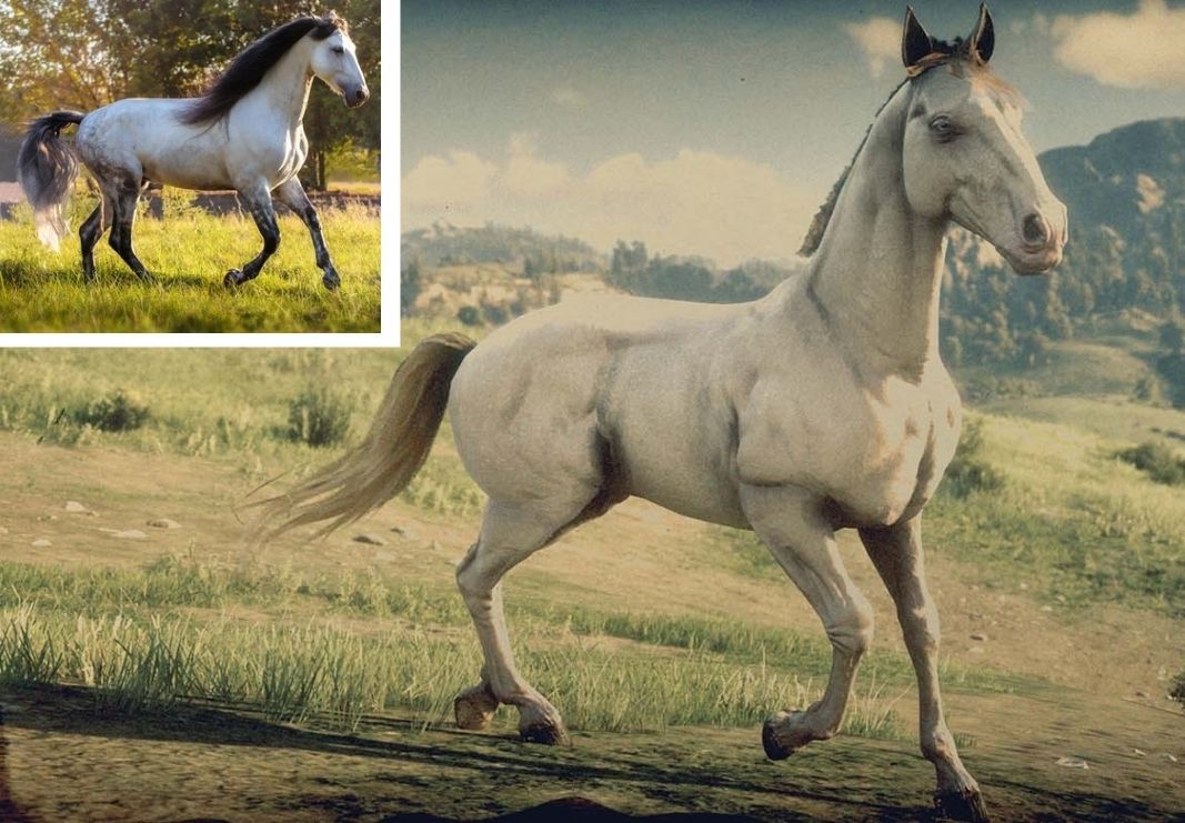 RDR2 Andalusian running and a photo of real Andalusian in corner