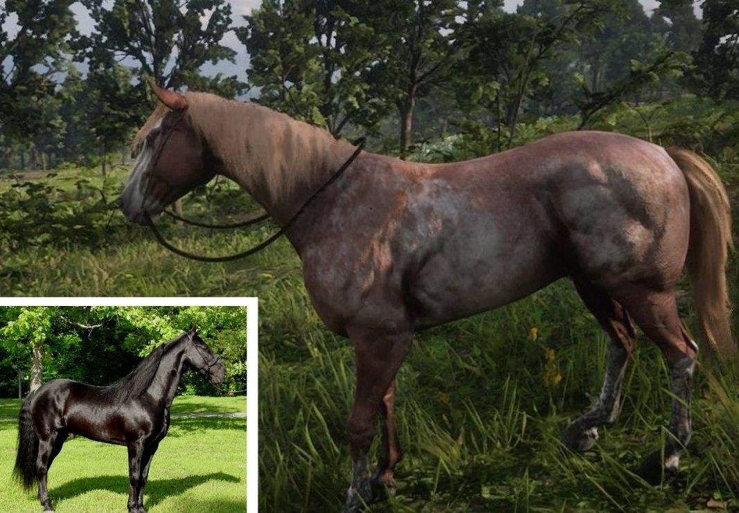 RDR2 Tennessee Walker and real Tennessee Walker in corner