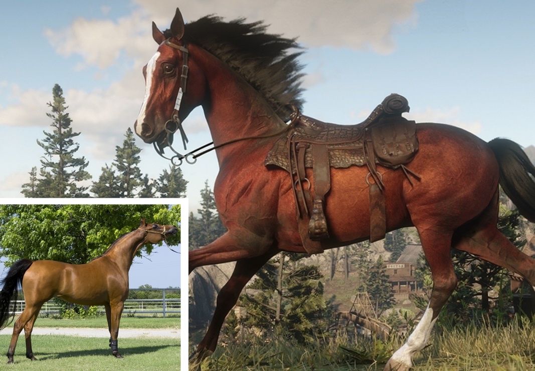 RDR2 Arabian Horse runs and the real life version is in the corner