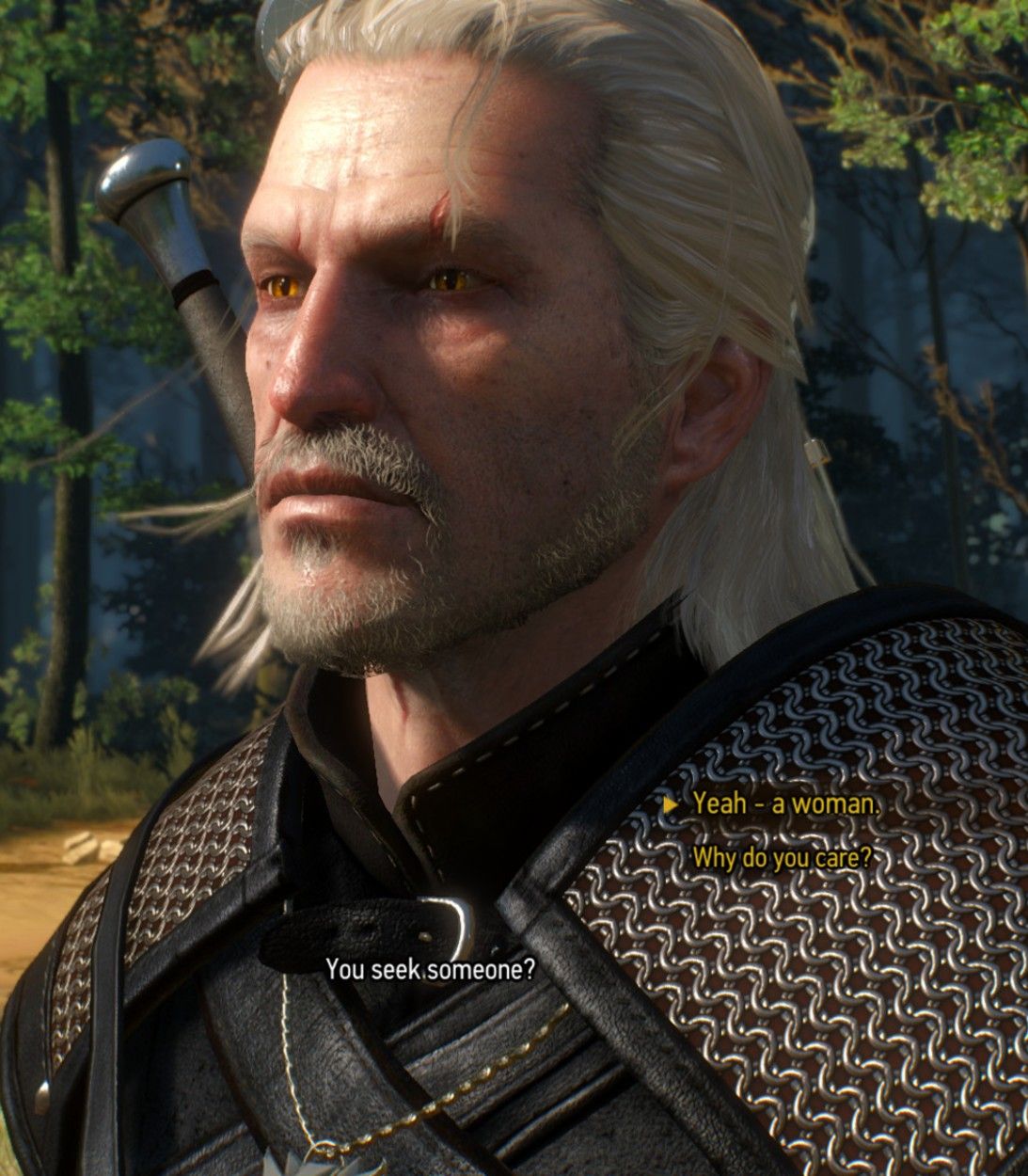 A character who is a facial fusion of Geralt and Vesemir, Geraltesemir, in The Witcher 3