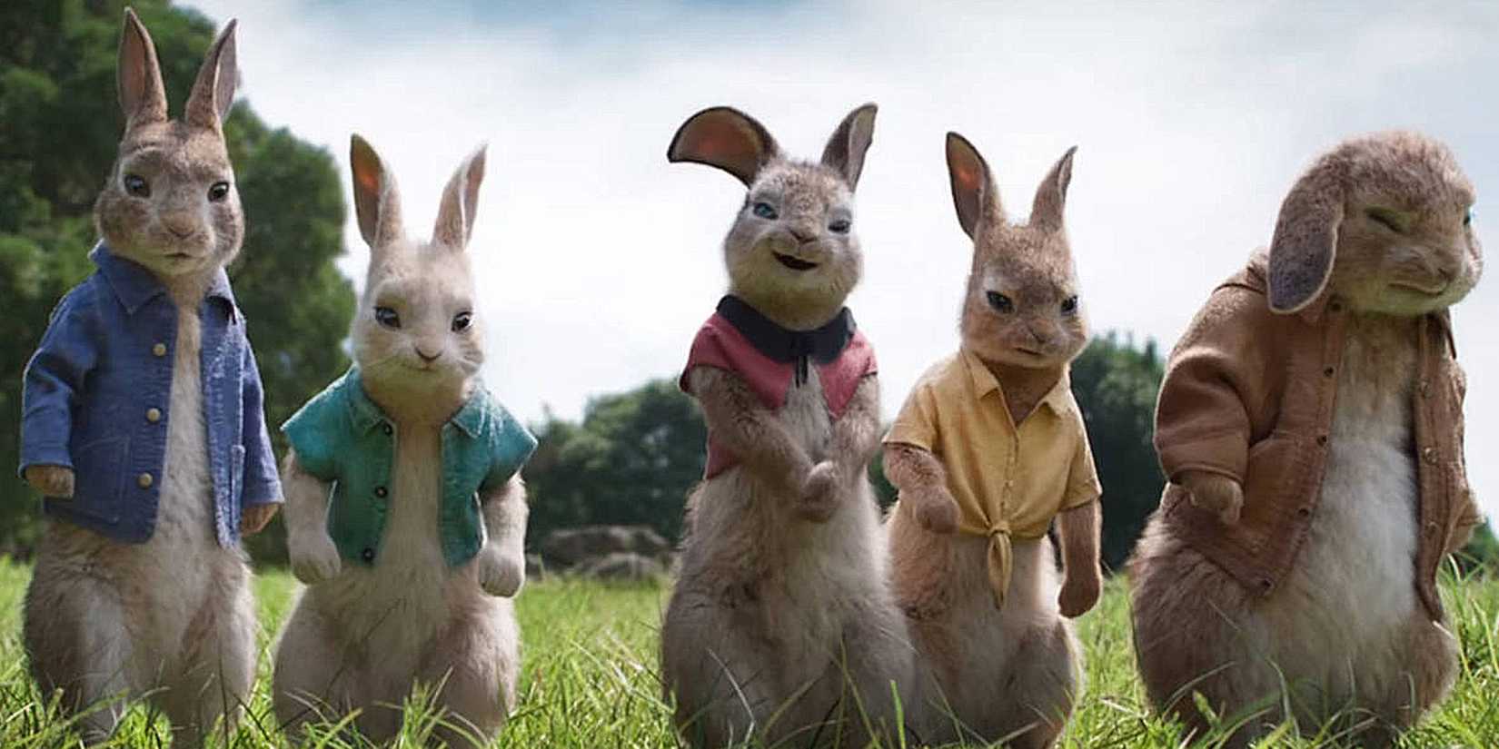 Peter Rabbit with other rabbits