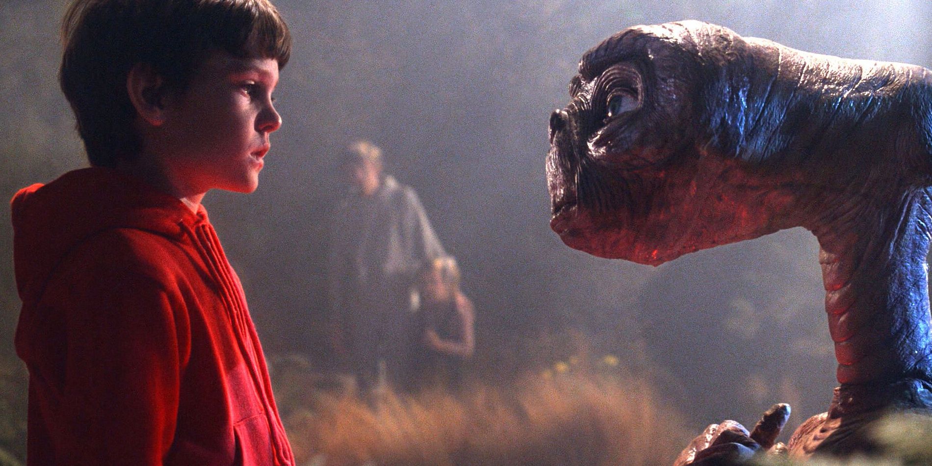 Elliott and E.T. looking at each other in the forest in E.T. The Extra-Terrestrial 