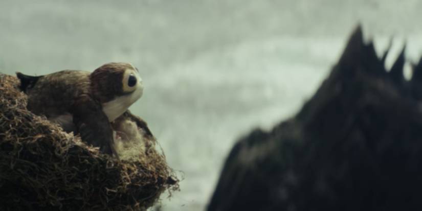 Star Wars: 10 Details About Porgs You Missed