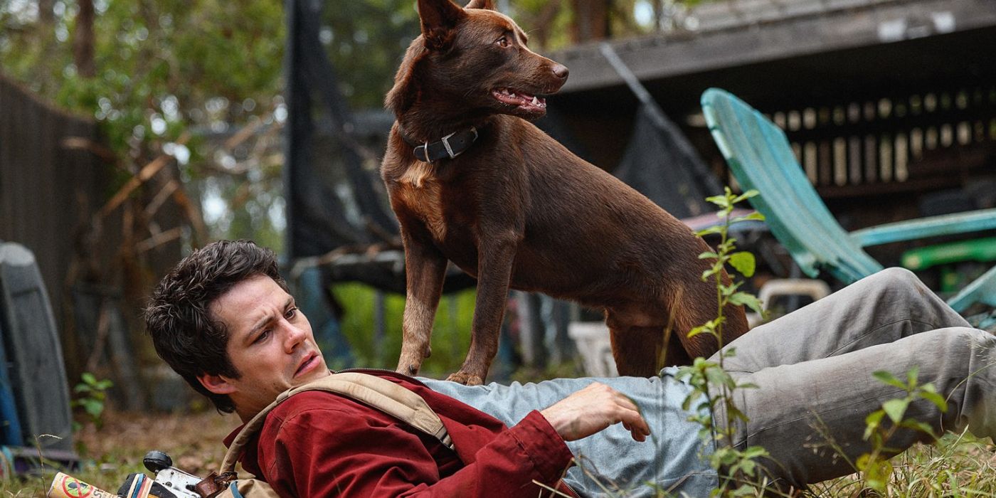 Perro parado sobre el pecho de Dylan O'Brien en Love and Monsters 2020 