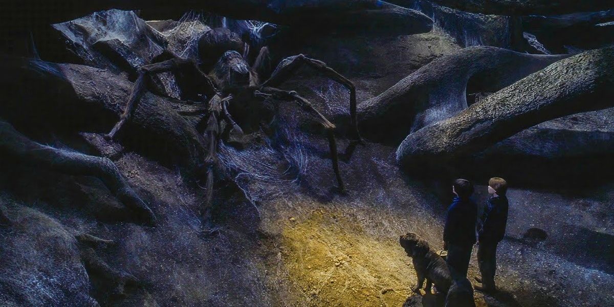 harry and ron facing giant spider in forest
