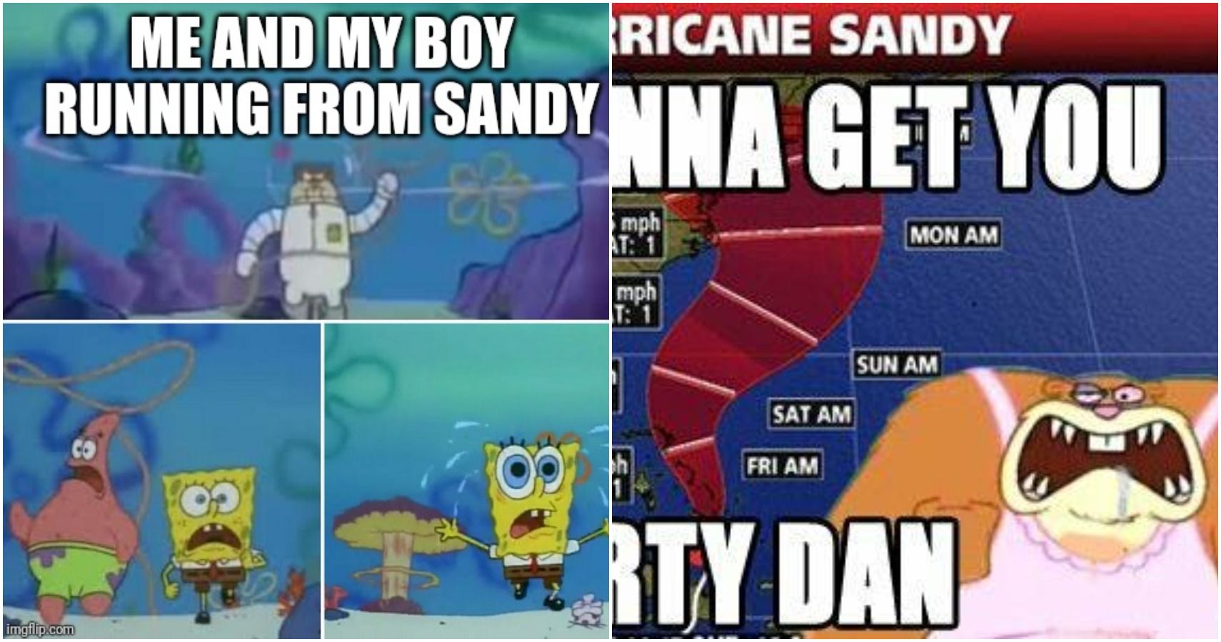 Sandy Memes Split Image SpongeBob SquarePants