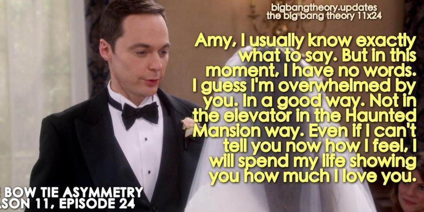 sheldons vows to amy - the big bang theory