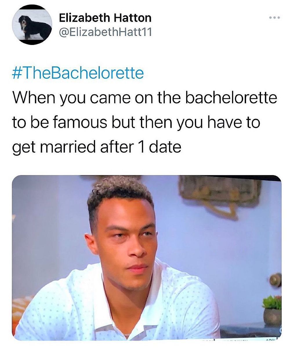 Bachelorette Meme