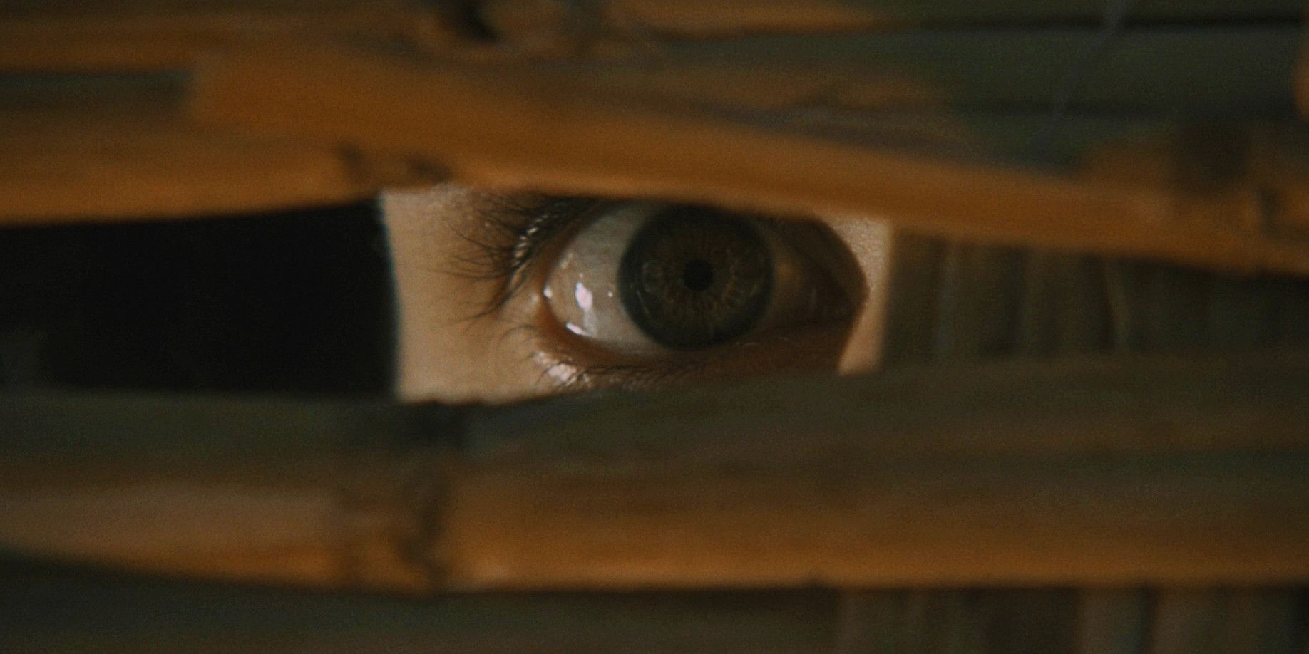 An eye looking through blinds in Bay of Blood