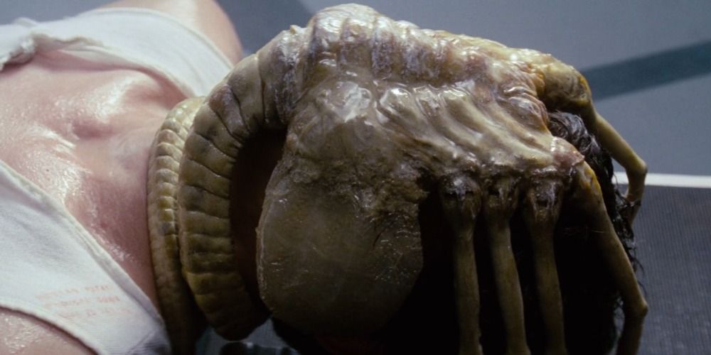 Facehugger from Alien