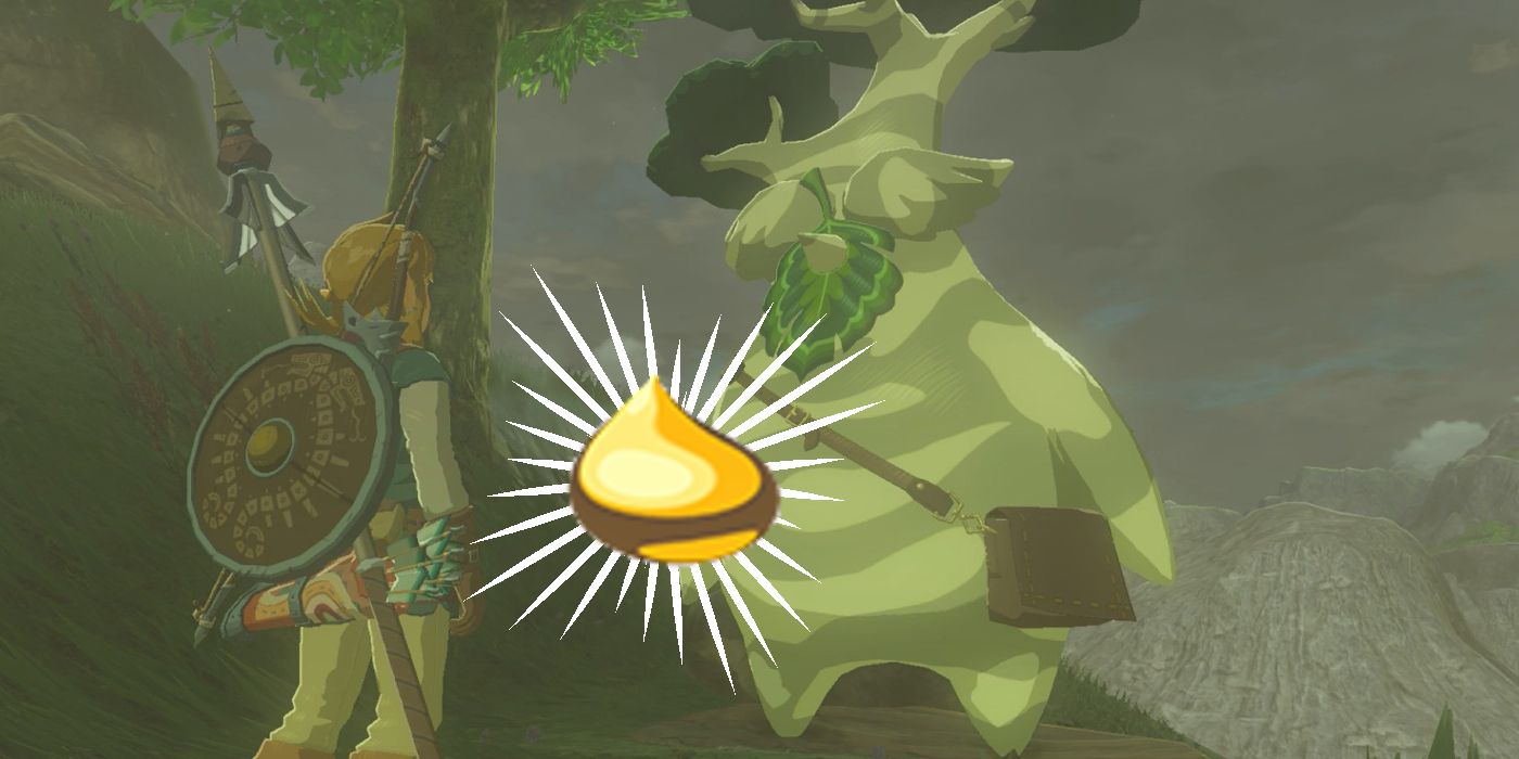Link giving Hestu a Korok seed in Zelda  Breath of the Wild. 