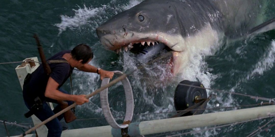 Brody and the shark in Jaws