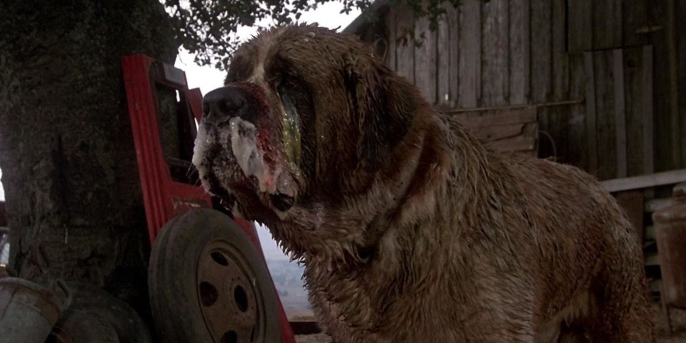 Cujo from the Stephen King movie adaptation of the same name.