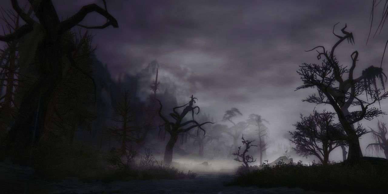 Dark Forests Of Skyrim