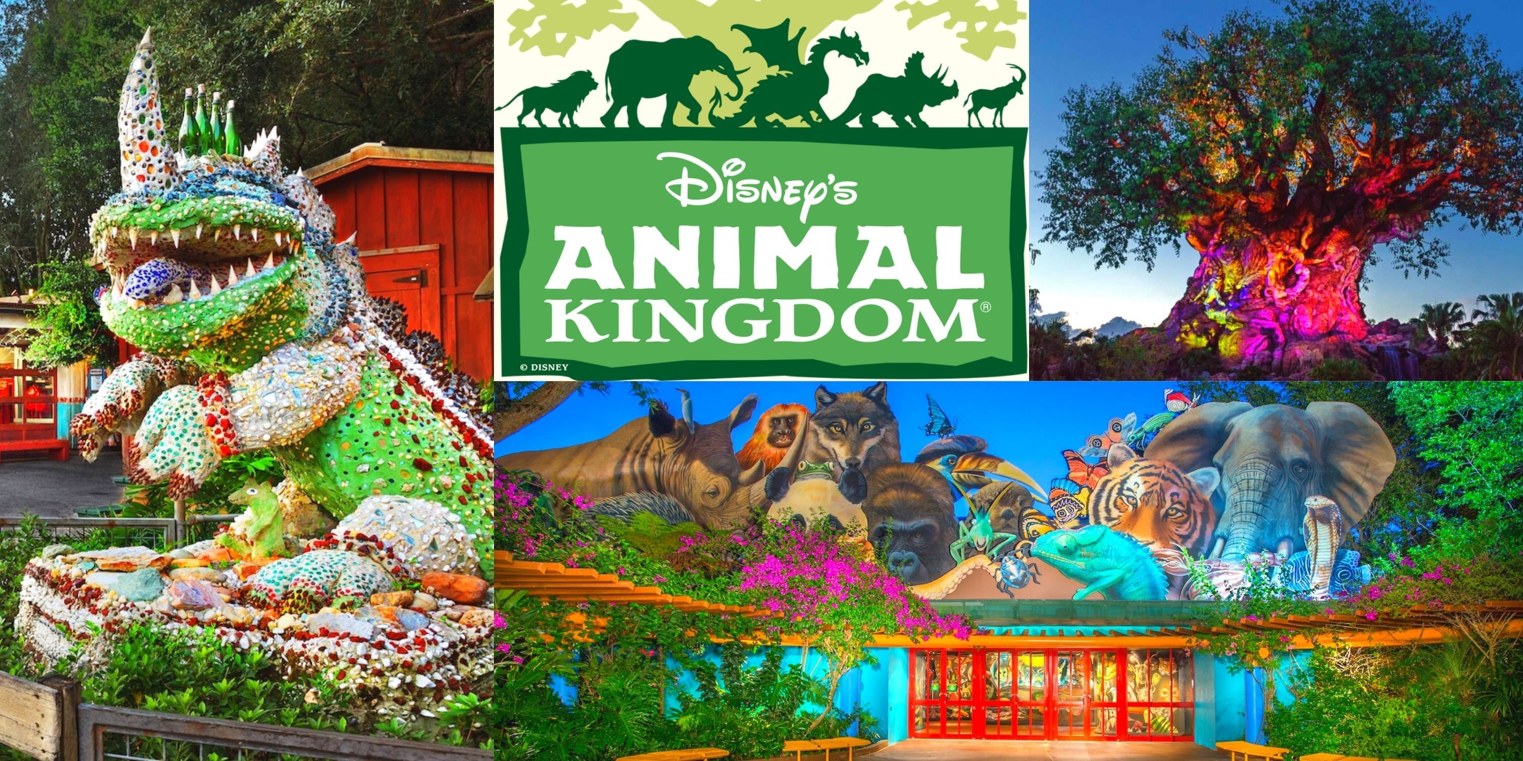Disney World: 10 Secrets You Missed In Animal Kingdom