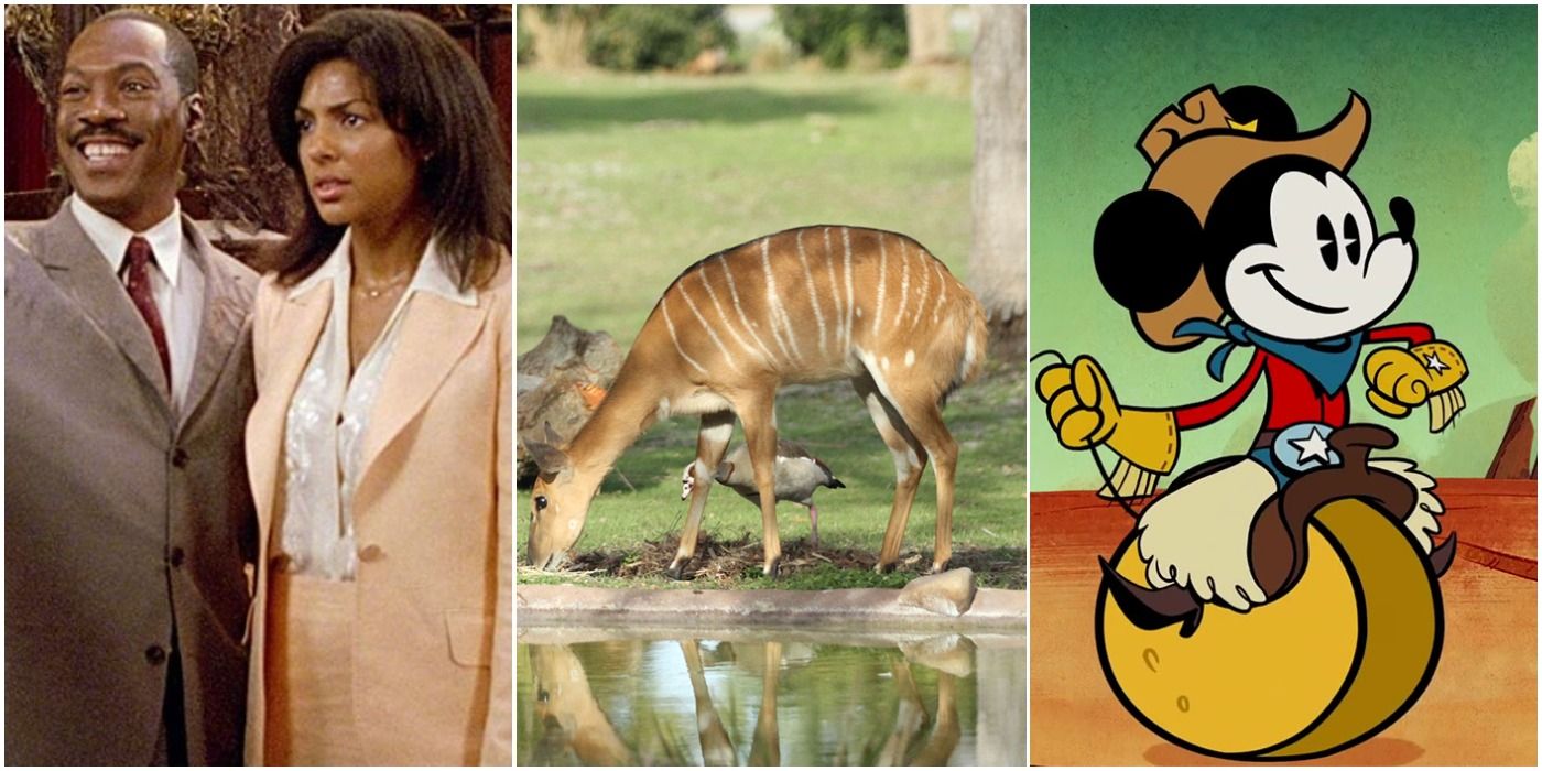 Disney The 10 Best Tv Shows Movies To Watch For Fans Of Disney Parks