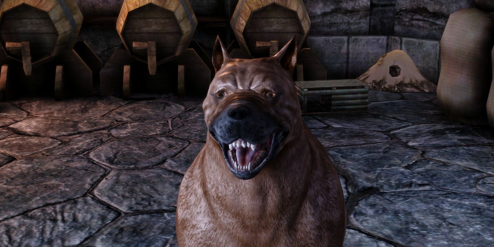 The Mabari dog in Dragon Age: Origins