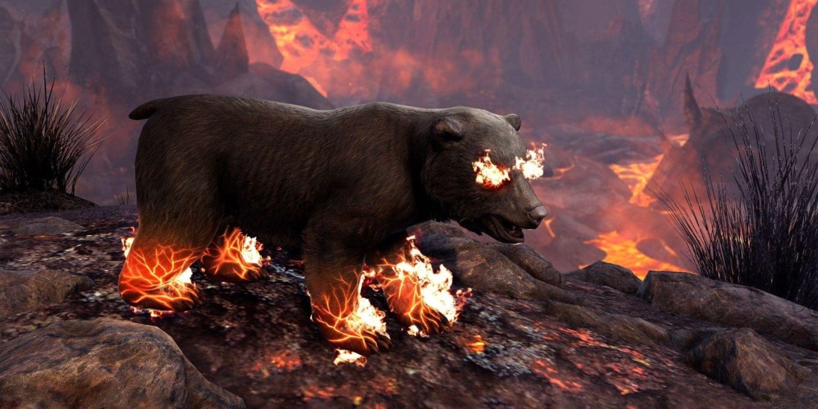 The Nightmare Bear Cub pet has flaming paws and eyes in Elder Scrolls Online