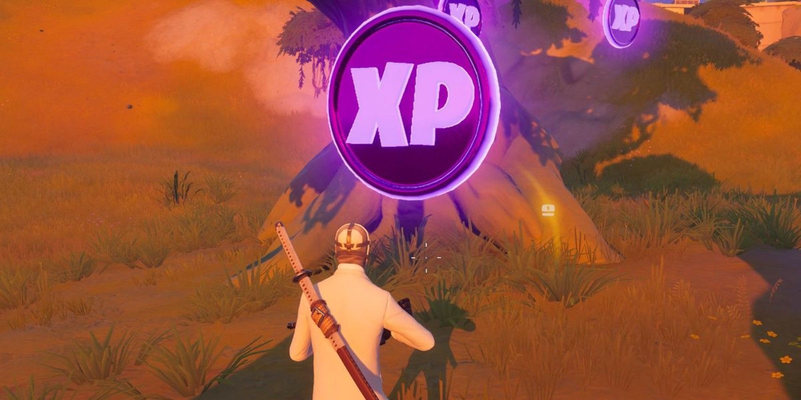 A player finds a Purple XP Coin near some trees in Fortnite