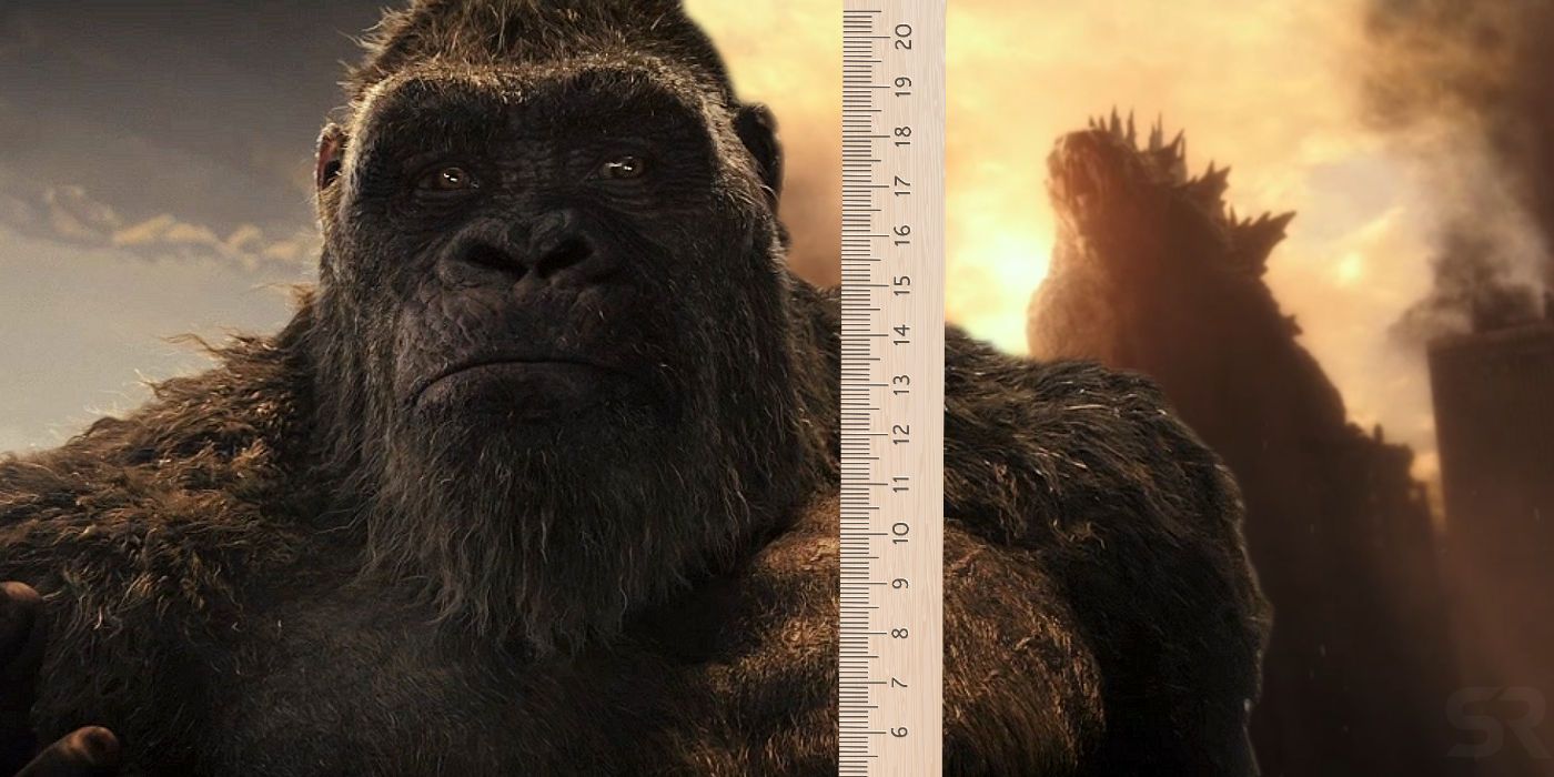 Godzilla and Kong with Ruler