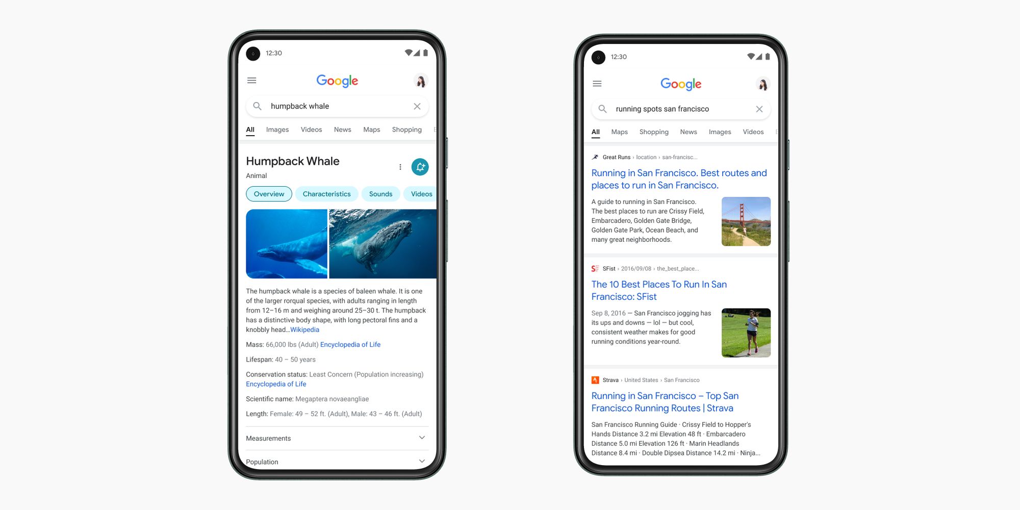 Simplicity & Speed: The Thinking Behind Google Search’s New Mobile Design