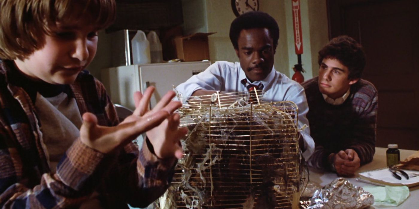 Roy looks at the cocoon of a Mogwai in the pupil stage in Gremlins.