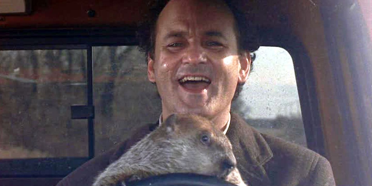 Bill Murray with the groundhog in Groundhog Day driving with Bill smiling.