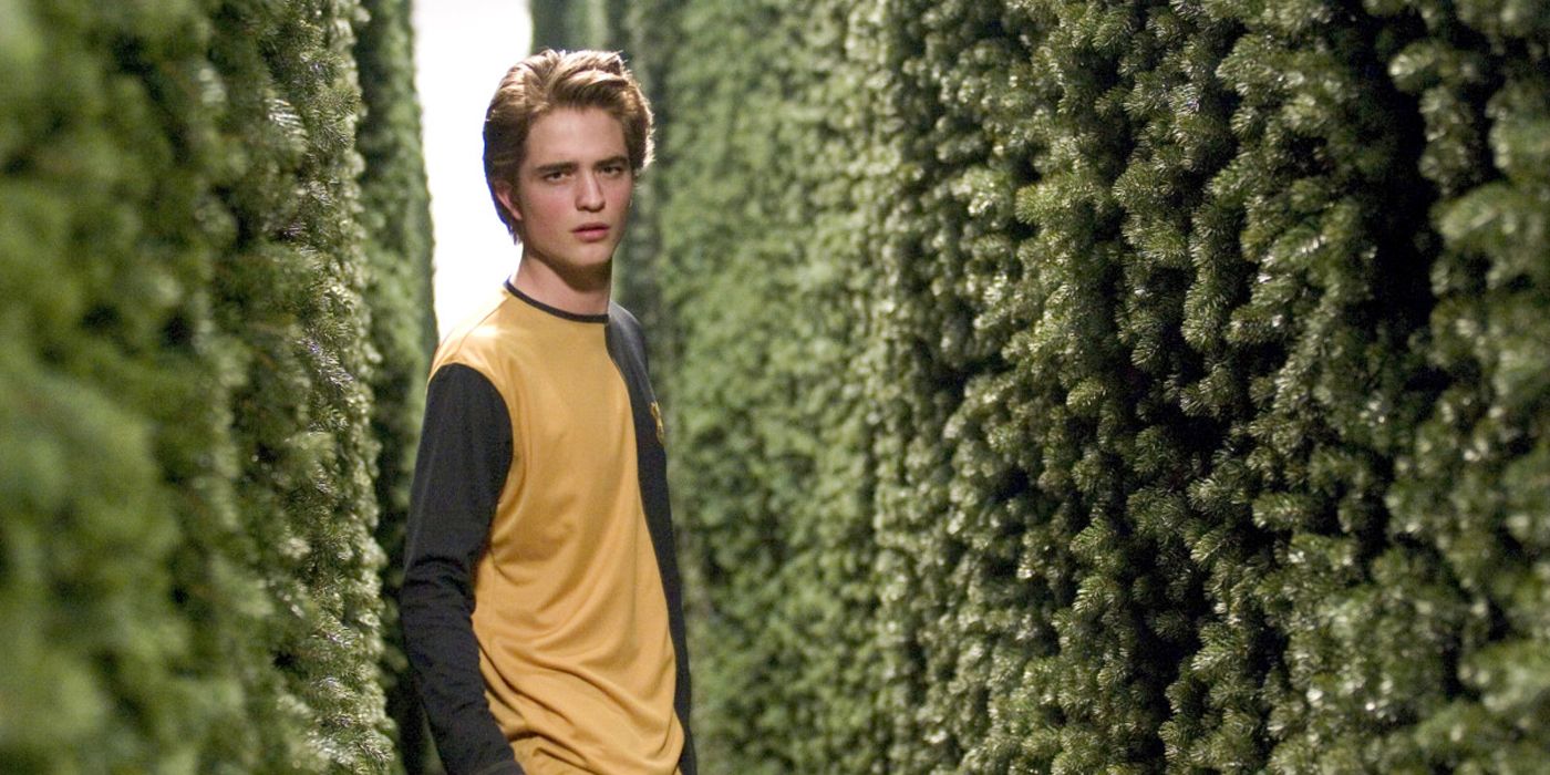Cedric at the maze during the Triwizard Tournament in Harry Potter and the Goblet of Fire.