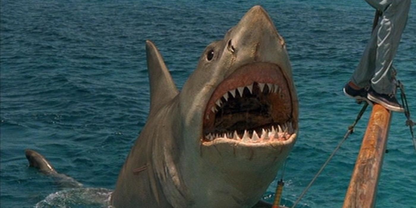 The shark roars in Jaws The Revenge