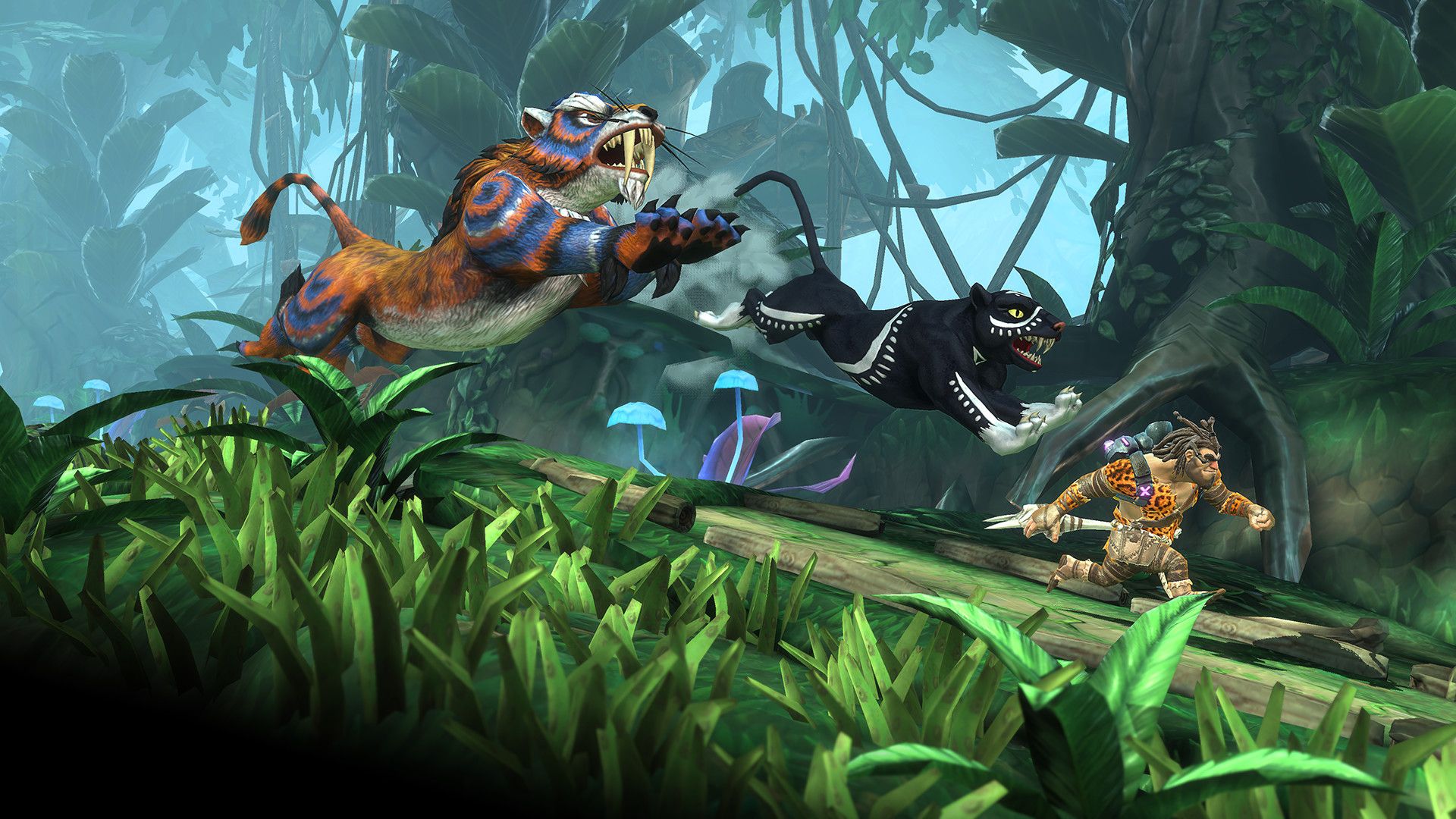 Jet Kave Adventure Tiger