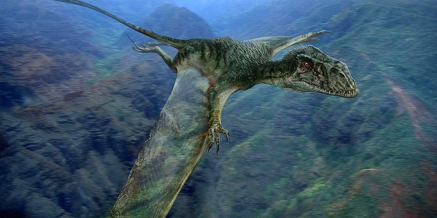 Um Dimorphodon voando pelo ar em Jurassic World