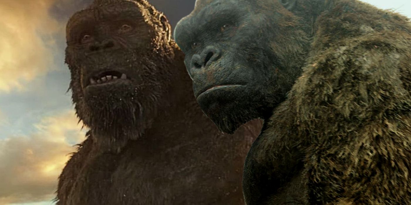 Why Kong Looks So Old In Godzilla vs. Kong | Screen Rant