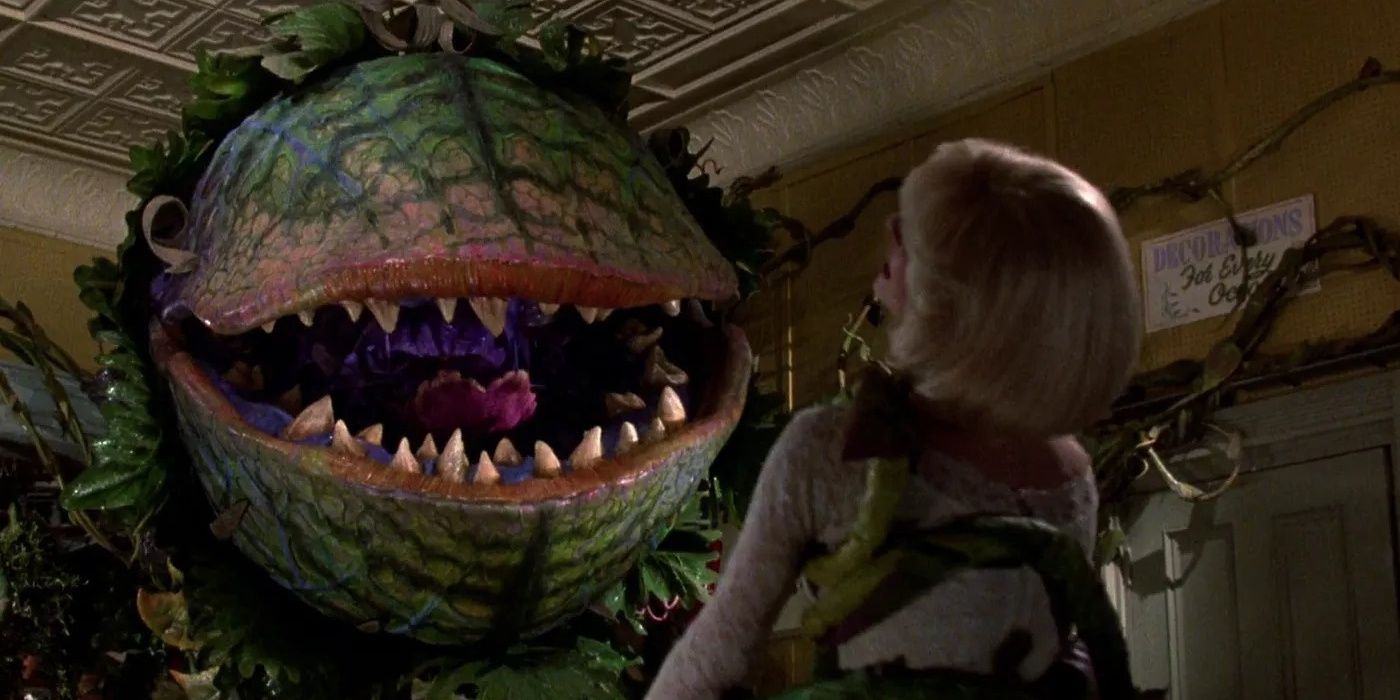 Why Chris Evans’ Little Shop Of Horrors Remake Was Canceled