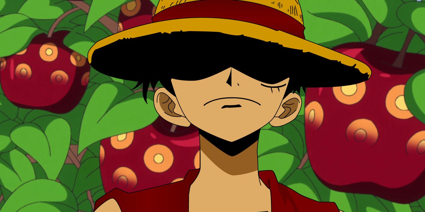 Luffy and Devil Fruits in One Piece