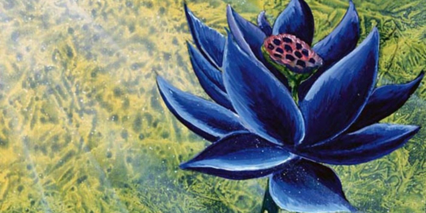 Magic the Gathering Black Lotus card artwork.