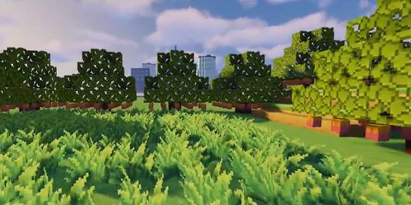 Crops Minecraft Needs To Add (& Why)