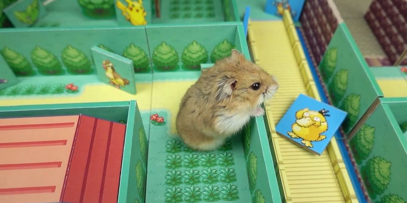 Pokemon Hamster Maze