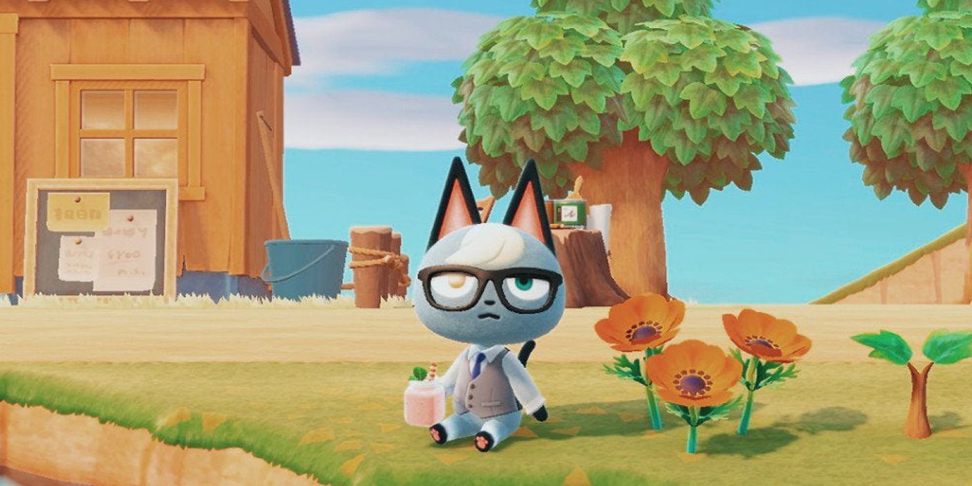 Download Animal Crossing's Raymond: Everything You Need To Know