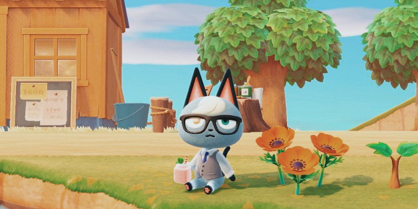 Raymond's Cat Feet Animal Crossing New Horizons