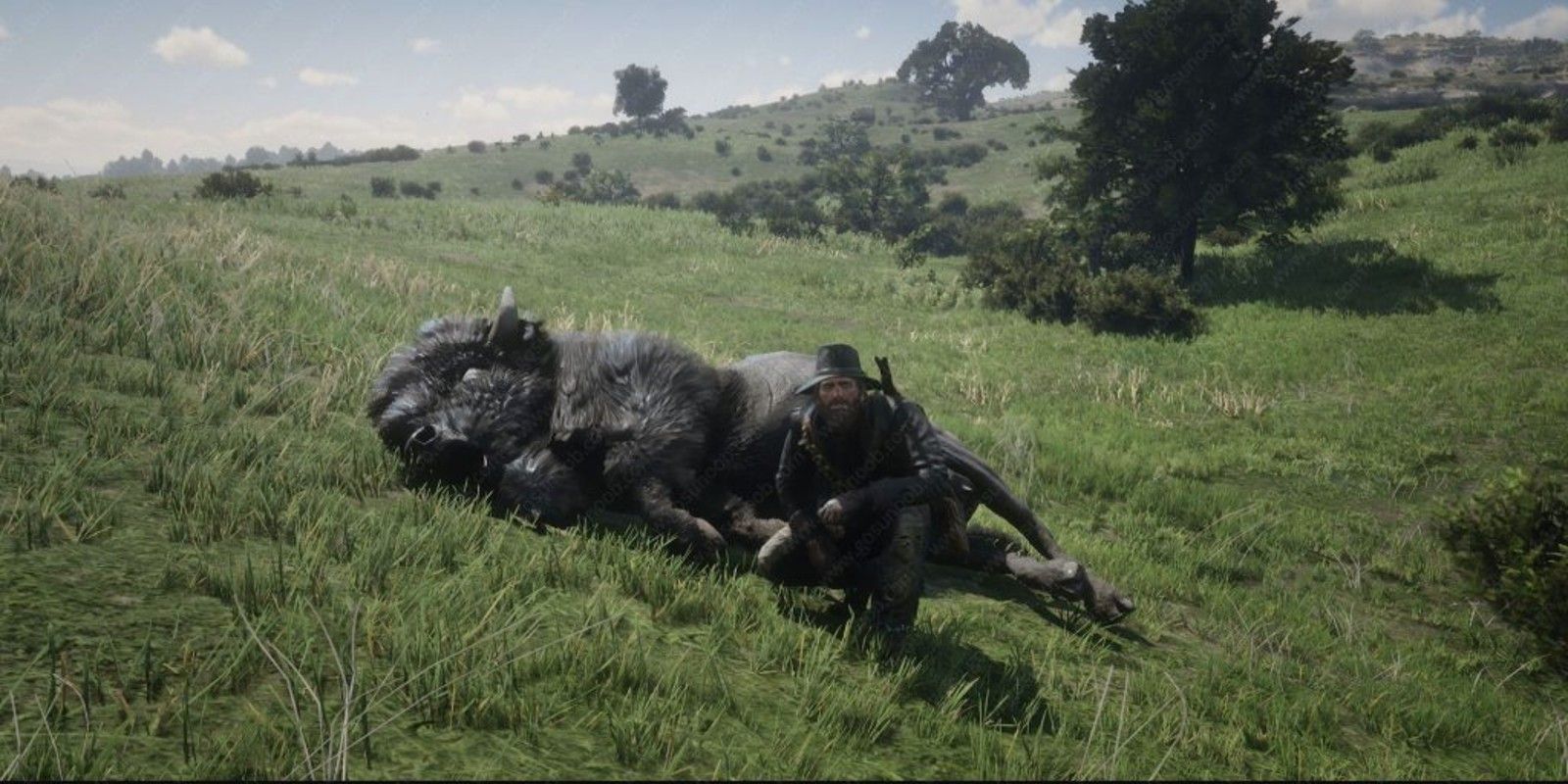 Arthur kills a buffalo in a field in Red Dead Redemption 2