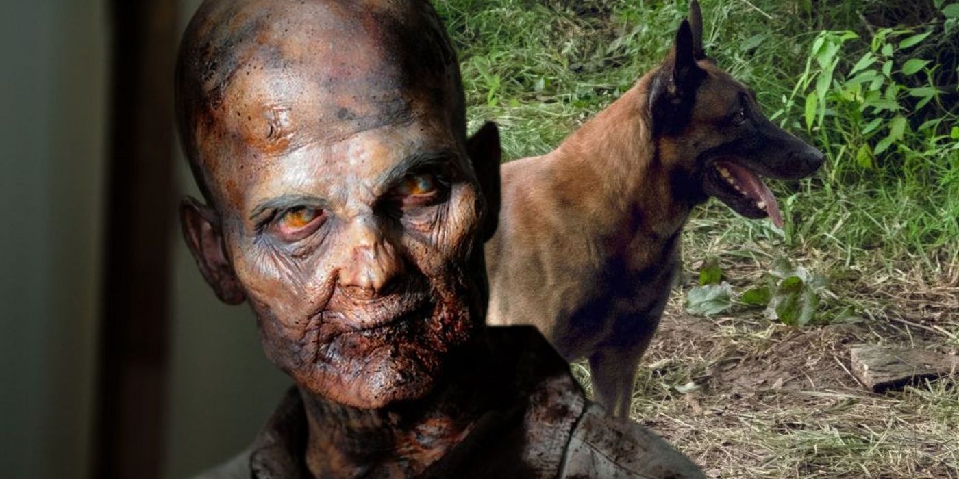 The Walking Dead: Why Animals Don't Get Infected Like Humans