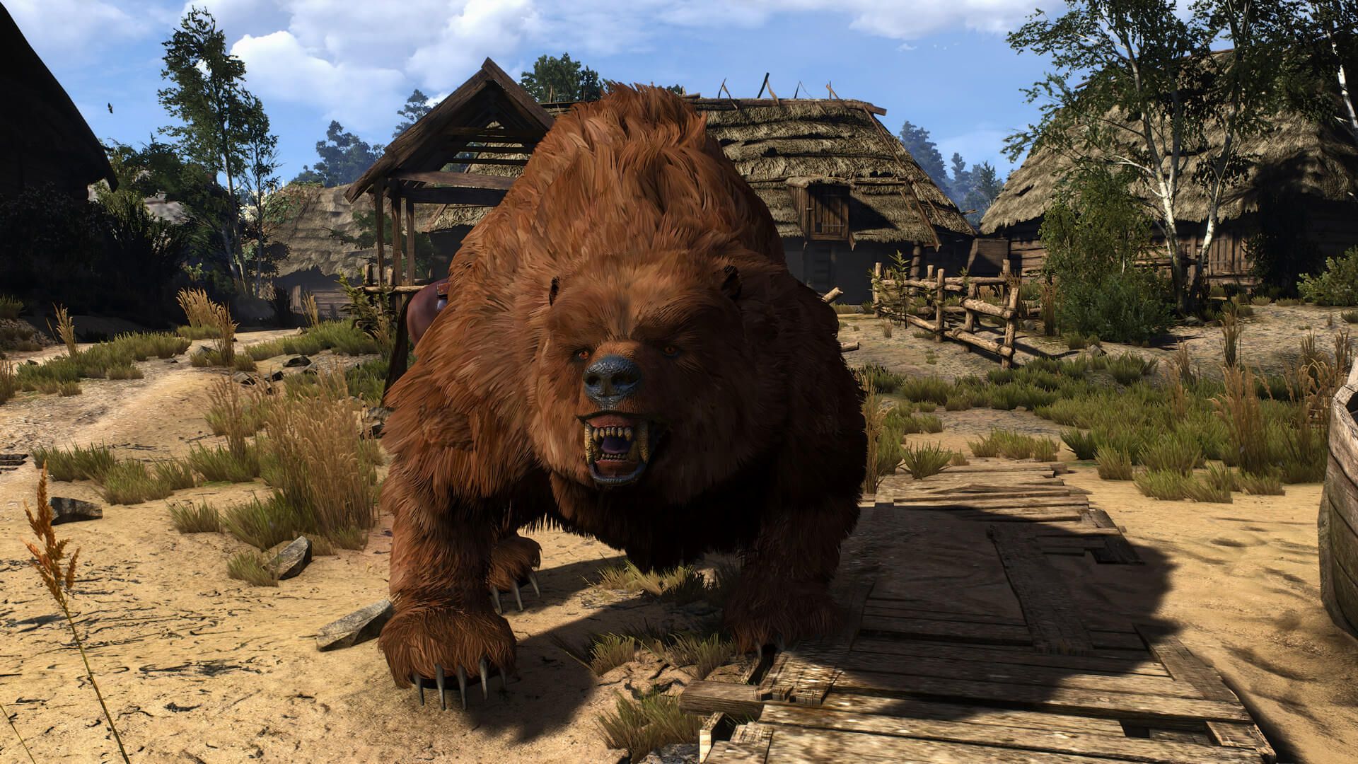 The Witcher 3 bear