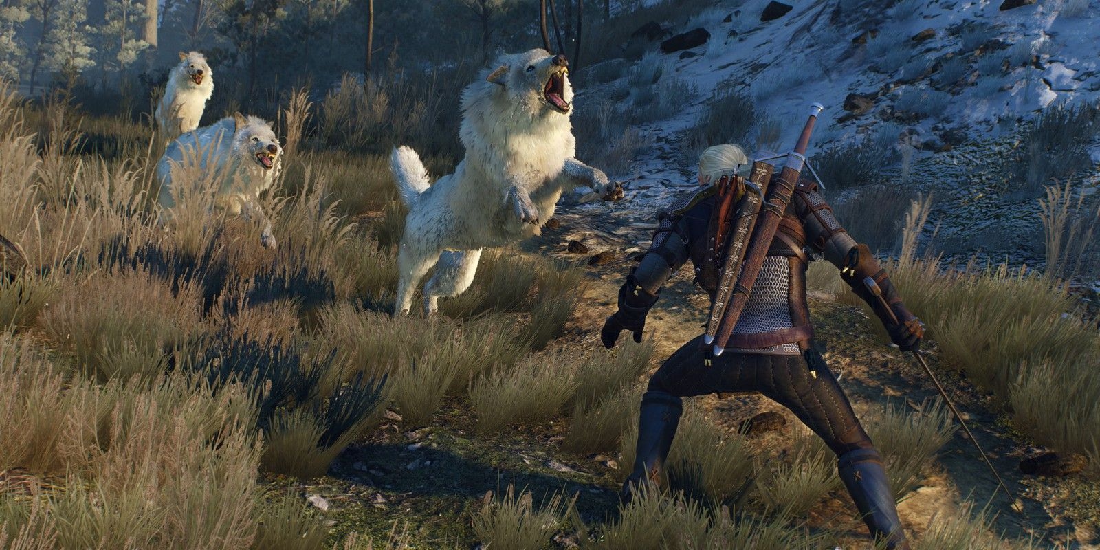 The Witcher 3 wolves